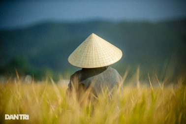 Những hình ảnh khiến người con xứ Nghệ xa xứ bồi hồi nhớ nhung