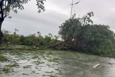 Phố Hội Xá ở KĐT Việt Hưng tan hoang sau bão Yagi