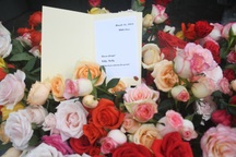 Cựu binh Mỹ gửi 504 bông hồng tưởng nhớ nạn nhân vụ thảm sát Sơn Mỹ