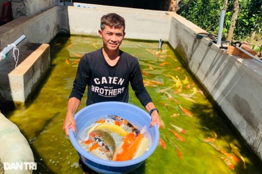 Thợ sửa xe bị bỏng xăng đổi đời nhờ nuôi cá Koi