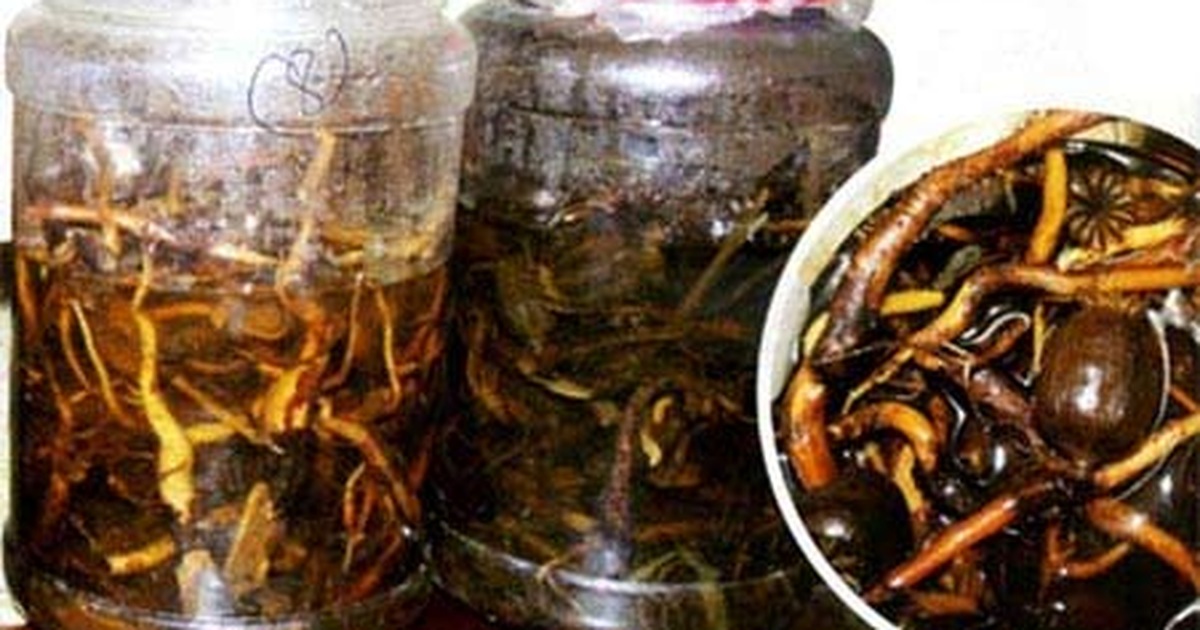 Trà Mú Đằng Tửu Là Gì?