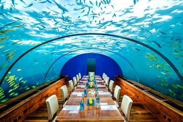 Khám phá đại dương từ những nhà hàng dưới nước độc đáo