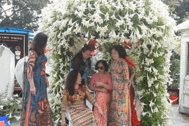 "Rừng hoa loa kèn" ngàn bông mở miễn phí, chị em Hà Nội nô nức check-in