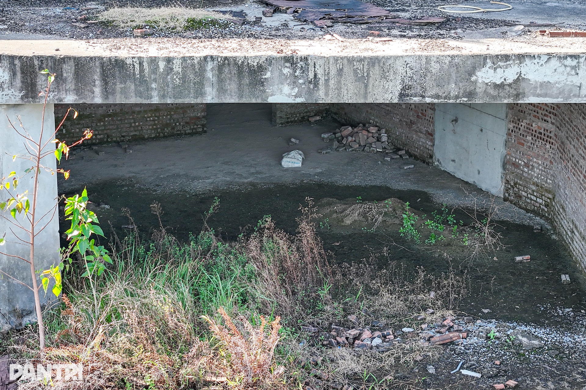 Cận cảnh khu nhà ở cho cán bộ bị bỏ hoang trên đất vàng Hà Nội - 6 Cận cảnh khu nhà ở cho cán bộ bị bỏ hoang trên đất vàng Hà Nội - 6