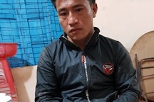 Khởi tố và bắt giữ đối tượng trong vụ đốn hạ gần 13m3 gỗ quý