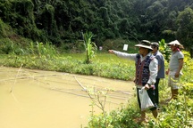 Quảng Nam: Nhiều gia đình trẻ ở miền núi xin được thoát nghèo