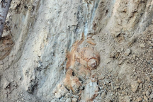 Phát hiện bom khi san mặt bằng mở rộng trường học ở Lào Cai