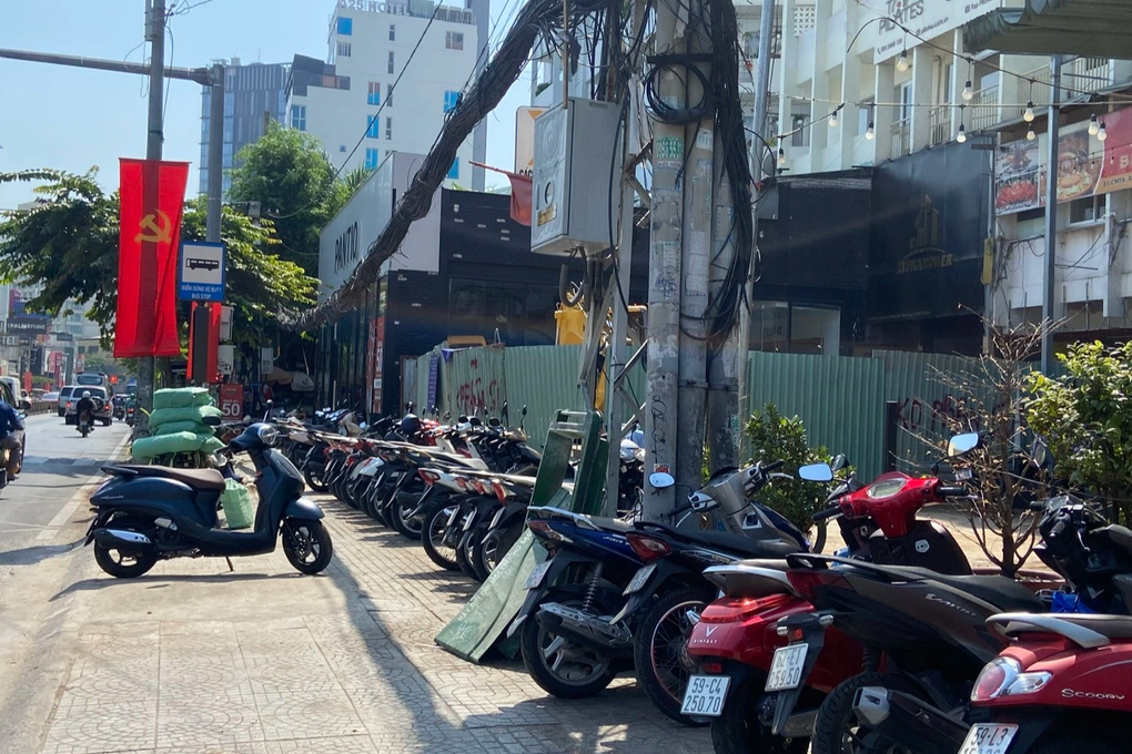Sở Xây dựng TPHCM lên tiếng vụ chặt nhầm cây sọ khỉ ở ga metro số 2 - 2 Sở Xây dựng TPHCM lên tiếng vụ chặt nhầm cây sọ khỉ ở ga metro số 2 - 2