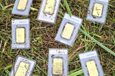 Đức: Công nhân môi trường tìm thấy 8 miếng vàng vô chủ khi đang cắt cỏ