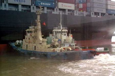 Rà soát toàn diện hoạt động lai dắt tại cảng Vũng Tàu