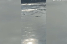 Sinh vật kỳ lạ nghi là "quái vật hồ Loch Ness" bất ngờ xuất hiện ở biển?