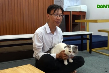 Chàng trai chi hơn 200 triệu đồng mở quán cà phê mèo cho khách vuốt ve