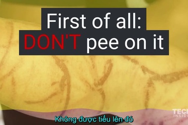 Bạn nên làm gì khi bị sứa đốt?