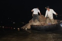 Kiếm tiền triệu mỗi đêm từ việc bắt cá mú giống