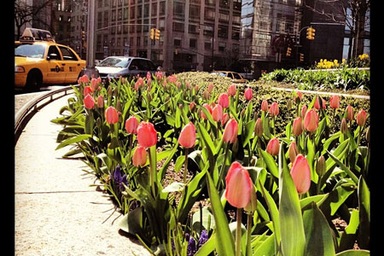 Xuất hiện dịch vụ “ăn theo” ứng dụng "tỉ đô" Instagram