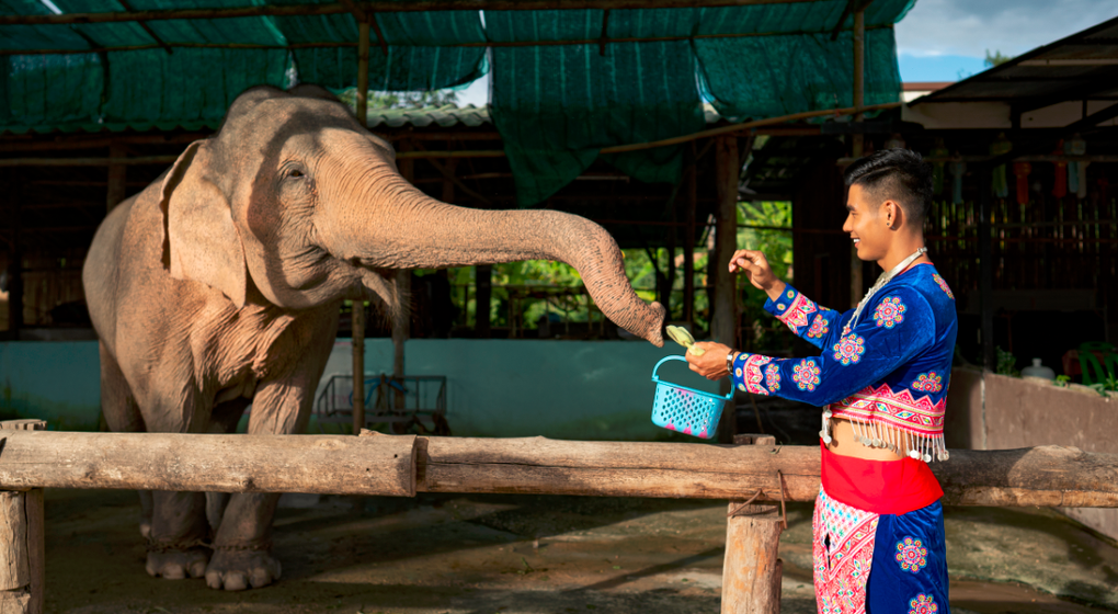 Nam vương Danh Chiếu Linh thăm làng dân tộc cổ dài ở Chiang Mai, Thái Lan - 4 Nam vương Danh Chiếu Linh thăm làng dân tộc cổ dài ở Chiang Mai, Thái Lan - 4