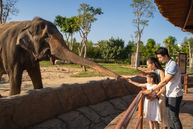 Tháng 6 - thời điểm vàng của những chuyến du lịch “xuyên Việt”