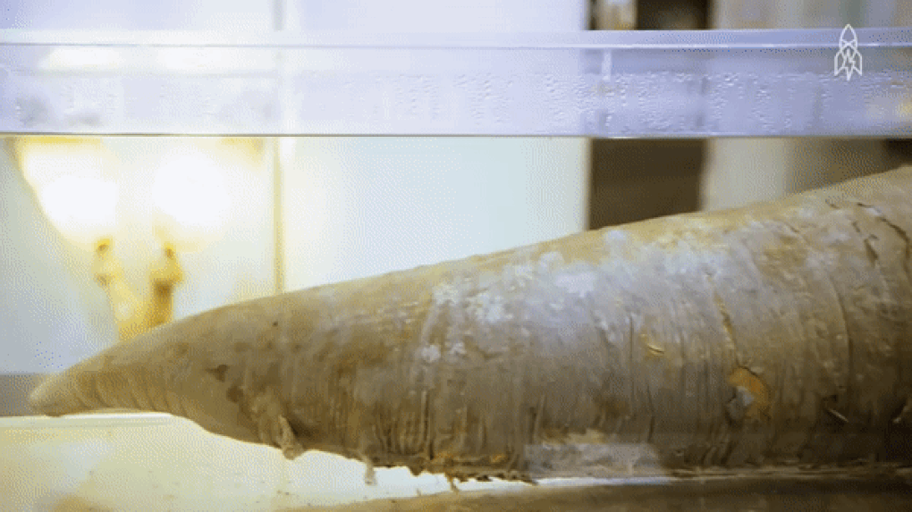 Khách tham quan đỏ mặt khi vào những bảo tàng chủ đề tình dục - 4