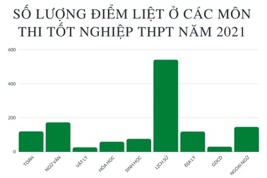 Cả nước có 1281 bài thi bị điểm liệt, môn Lịch sử đứng đầu