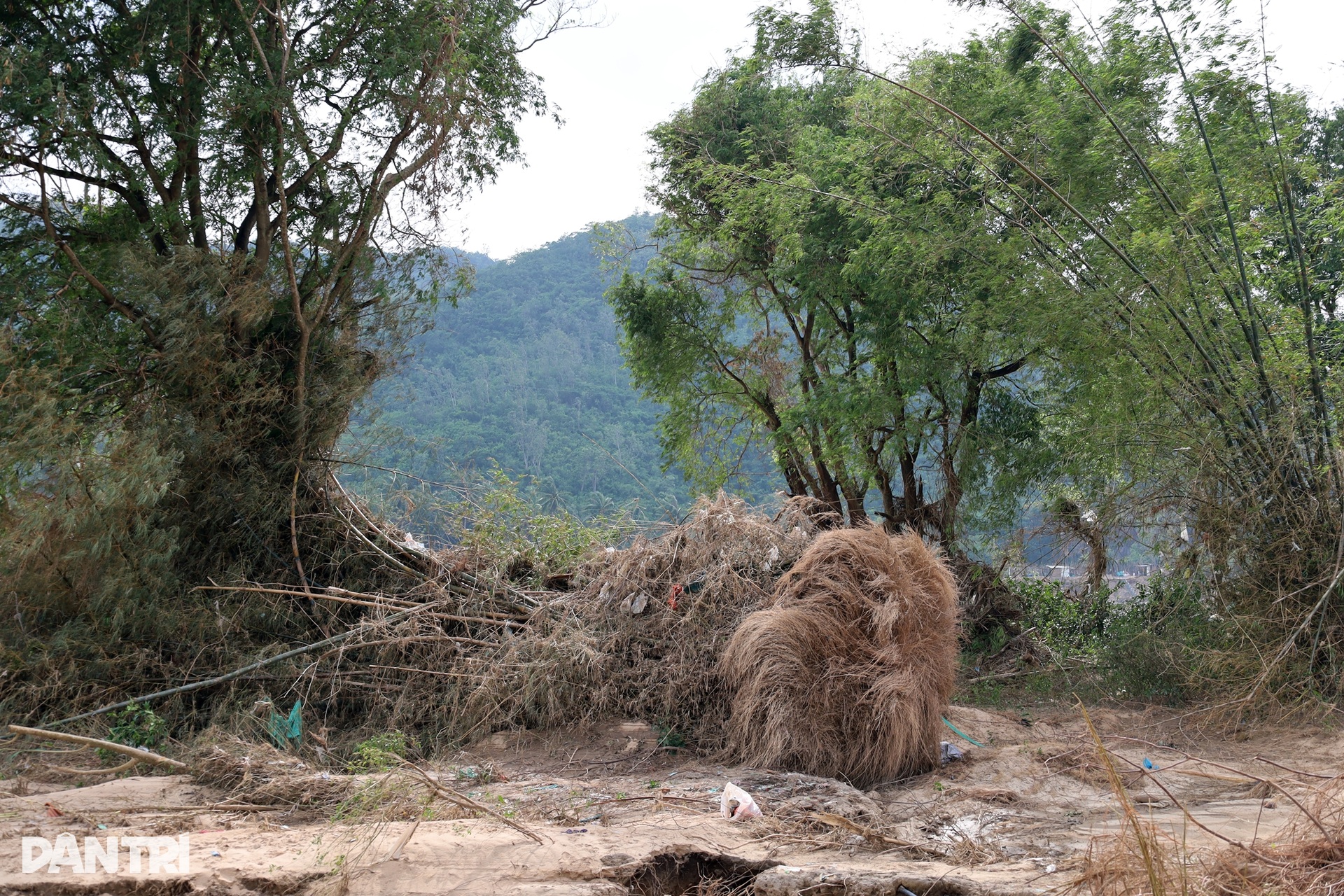 Lũ kéo giường lên mái nhà vừa xong, người dân lại lo bão Koto ập tới - 4