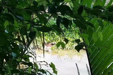 Đi thăm ruộng, tá hỏa phát hiện thi thể trôi sông