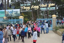 Đà Lạt: Gần lễ, Thung Lũng Tình Yêu tăng giá vé 