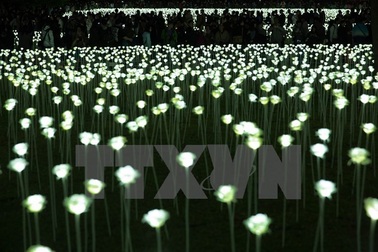 Đèn LED chính là thủ phạm gây ô nhiễm ánh sáng trên toàn cầu