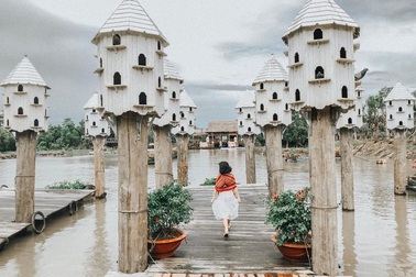 Dân phượt “phát sốt” với điểm check-in đẹp như trời Tây giữa rừng Trà Sư