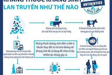 [Inforgraphics]: Kháng kháng sinh lan truyền như thế nào?