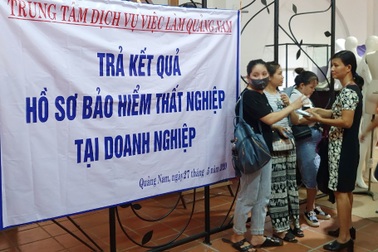 Quảng Nam chi trả gần 300 tỷ đồng bảo hiểm thất nghiệp cho người lao động