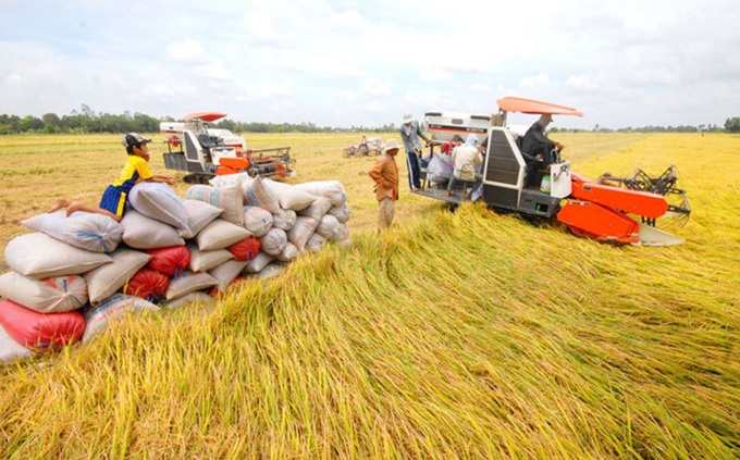 Vượt biến động tăng giá bất ngờ, thế mạnh Việt Nam tính thu 3 tỷ USD - Ảnh 1.