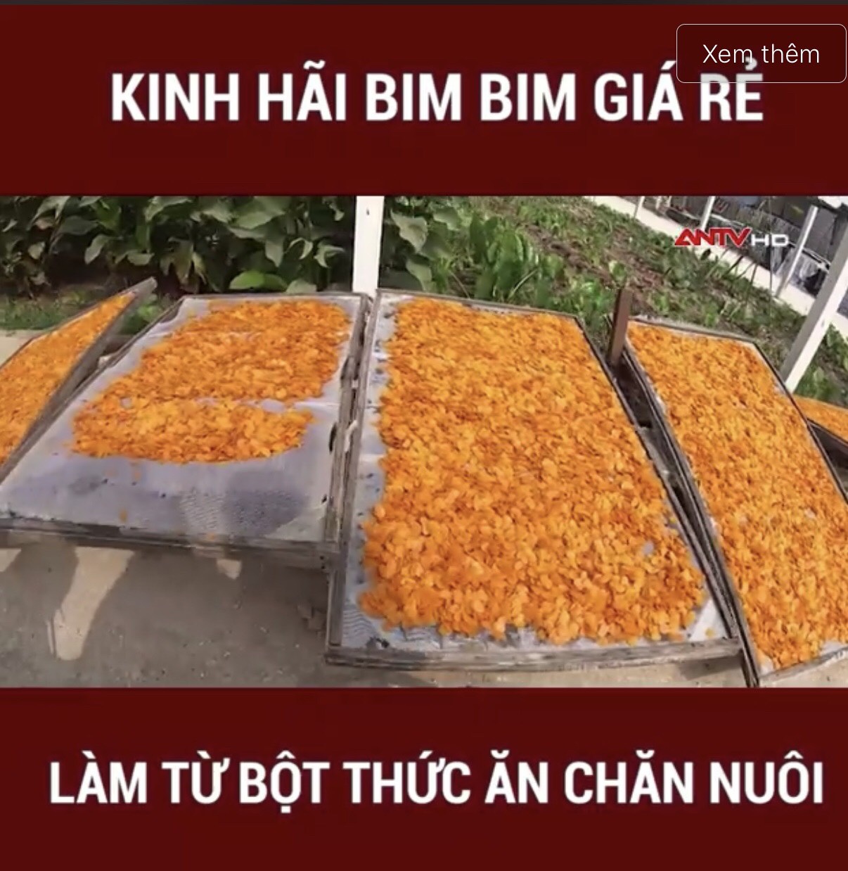 Hiểm họa từ loại bim bim -ngậm” phụ gia, phẩm màu, người bán cũng chẳng dám ăn nhưng lại vô tư bán ra hàng tấn/ngày - Ảnh 5.