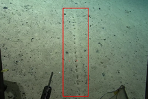 Tìm thấy dấu tích của người ngoài hành tinh dưới đáy biển?