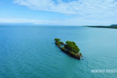 Xác tàu đắm hóa "rừng nổi", thành điểm check-in nổi tiếng