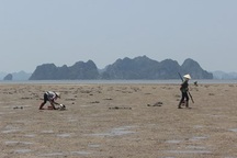 Nghề săn “thần dược” giữa lòng di sản