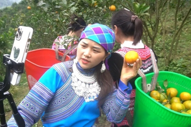 Bắc Giang thúc đẩy chuyển đổi số, tạo việc làm cho lao động miền núi