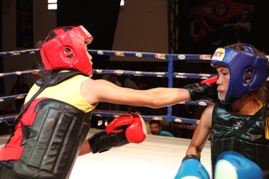 Khai mạc giải võ cổ truyền các VĐV xuất sắc toàn quốc 2014