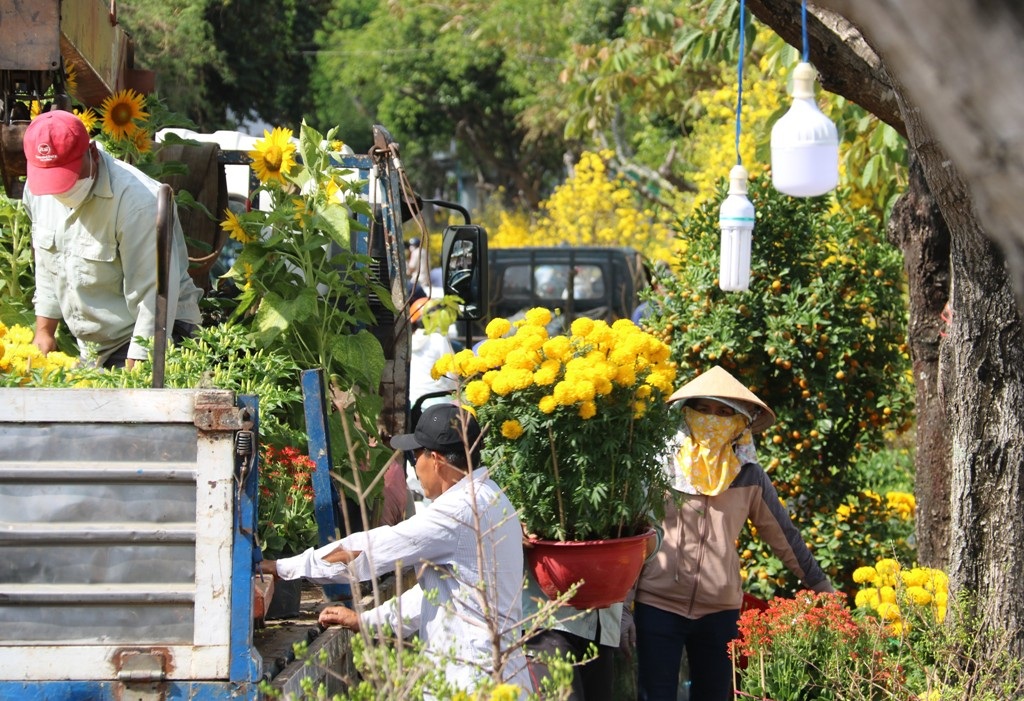 Chợ 29 Tết, mua nhanh, bán lẹ, hối hả đưa xuân về nhà - 1 Chợ 29 Tết, mua nhanh, bán lẹ, hối hả đưa xuân về nhà - 1