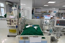 Bé gái 9 tuổi thoát chết thần kỳ sau khi bị ong vò vẽ đốt hơn 50 nốt