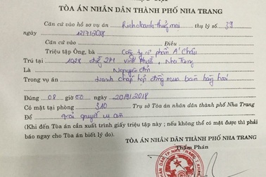 Tranh cãi thương vụ mua 30 xe Vios Limo không có túi khí tại Khánh Hoà