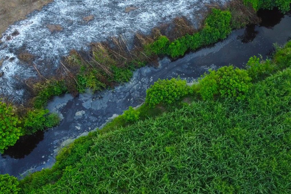 Xử phạt trại lợn tra tấn dân ở Thanh Hóa - 2