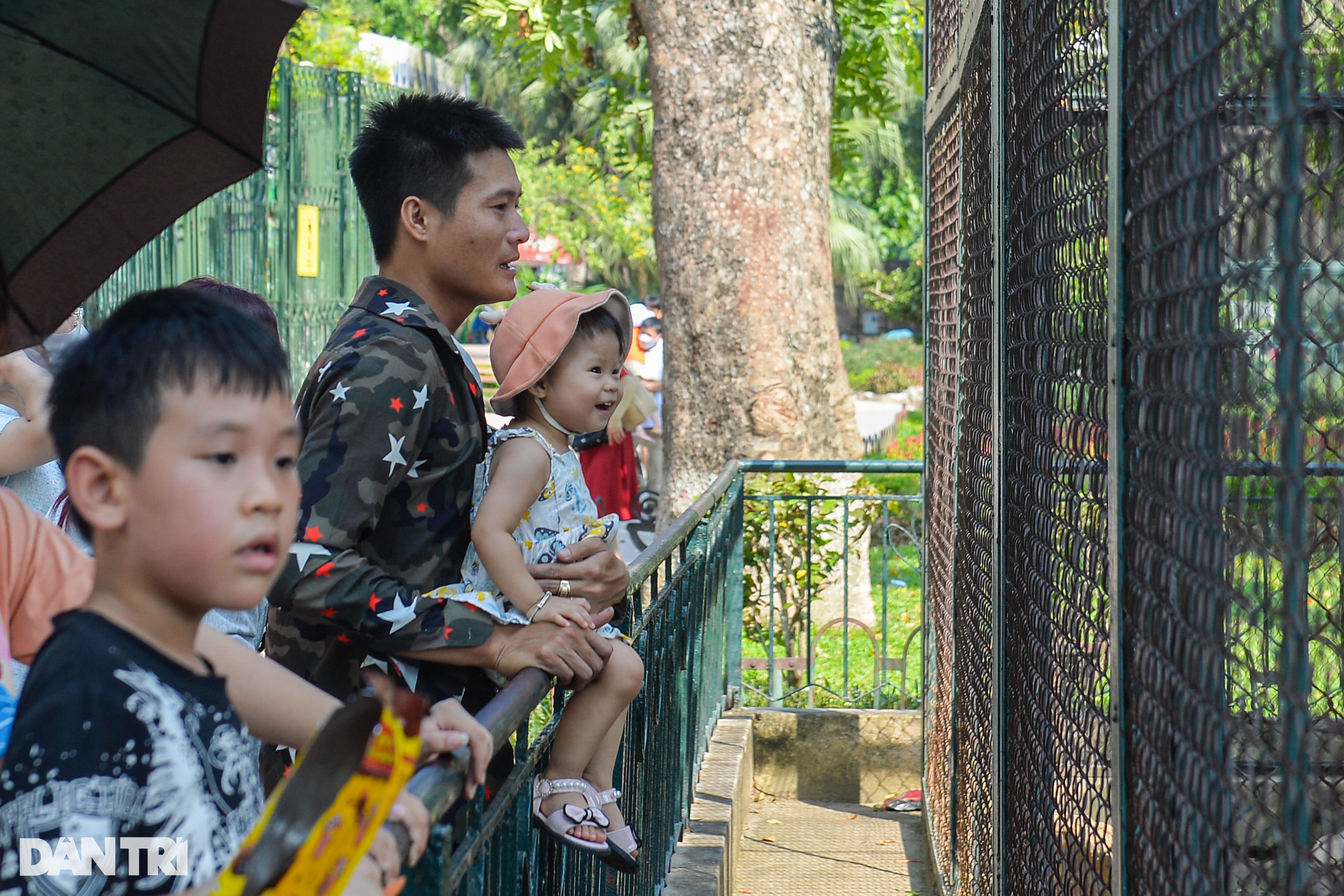Ngày đầu nghỉ lễ 2/9, người dân đội nắng ùn ùn đổ về vườn thú Hà Nội - 10 Ngày đầu nghỉ lễ 2/9, người dân đội nắng ùn ùn đổ về vườn thú Hà Nội - 10