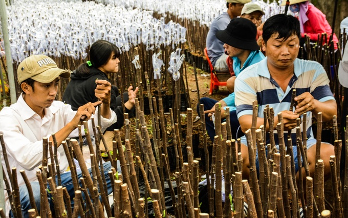 Bến Tre: Thay đổi phương thức về giới thiệu việc làm và đào tạo nghề giữa đại dịch COVID-19