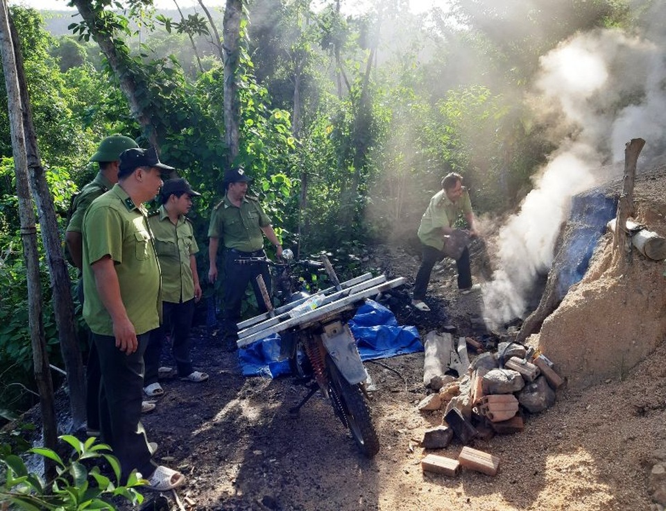 Rừng bị tàn phá nghiêm trọng, địa phương không hay biết? - 4