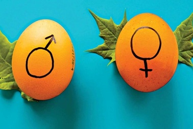 Hãy bắt đầu giáo dục giới tính cho trẻ ngay tại nhà