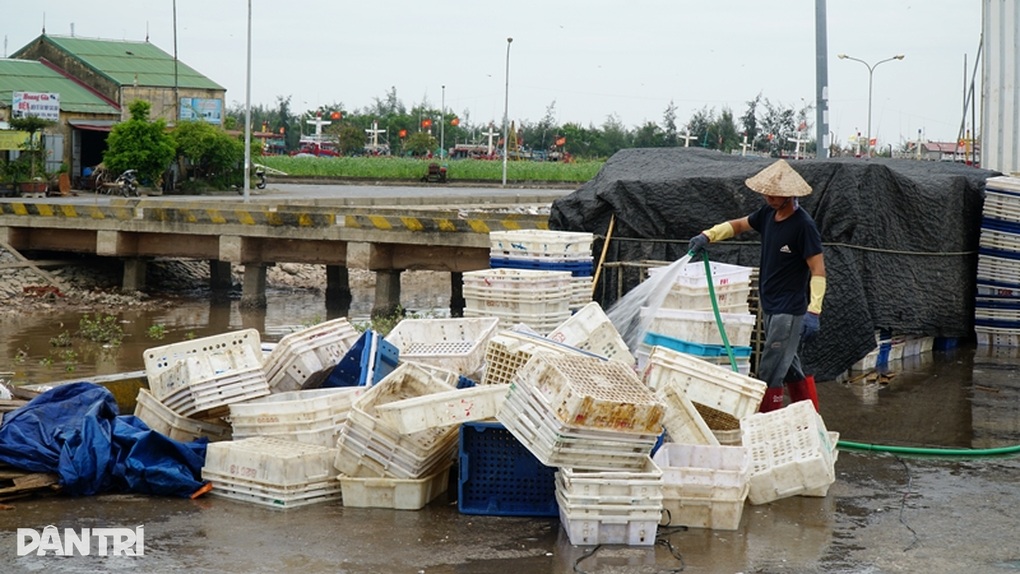 Ngư dân Nam Định chằng buộc tàu thuyền, đan lưới chờ bão Talim đi qua - 3 Ngư dân Nam Định chằng buộc tàu thuyền, đan lưới chờ bão Talim đi qua - 3