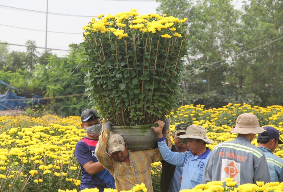Phú Yên: Người lao động “còng lưng” kiếm tiền những ngày giáp Tết - 1 Phú Yên: Người lao động “còng lưng” kiếm tiền những ngày giáp Tết - 1