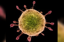 Cúm và virus corona mới – cái nào đáng lo ngại hơn?