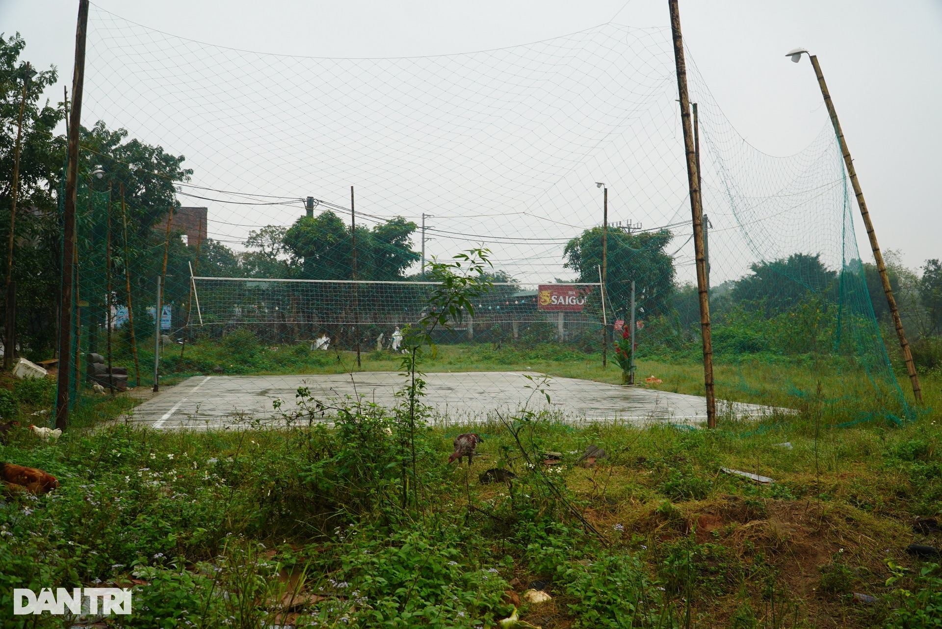 Gần 10.000m2 đất vàng nhiều năm bị bỏ hoang, thành nơi thả gà - 9 Gần 10.000m2 đất vàng nhiều năm bị bỏ hoang, thành nơi thả gà - 9
