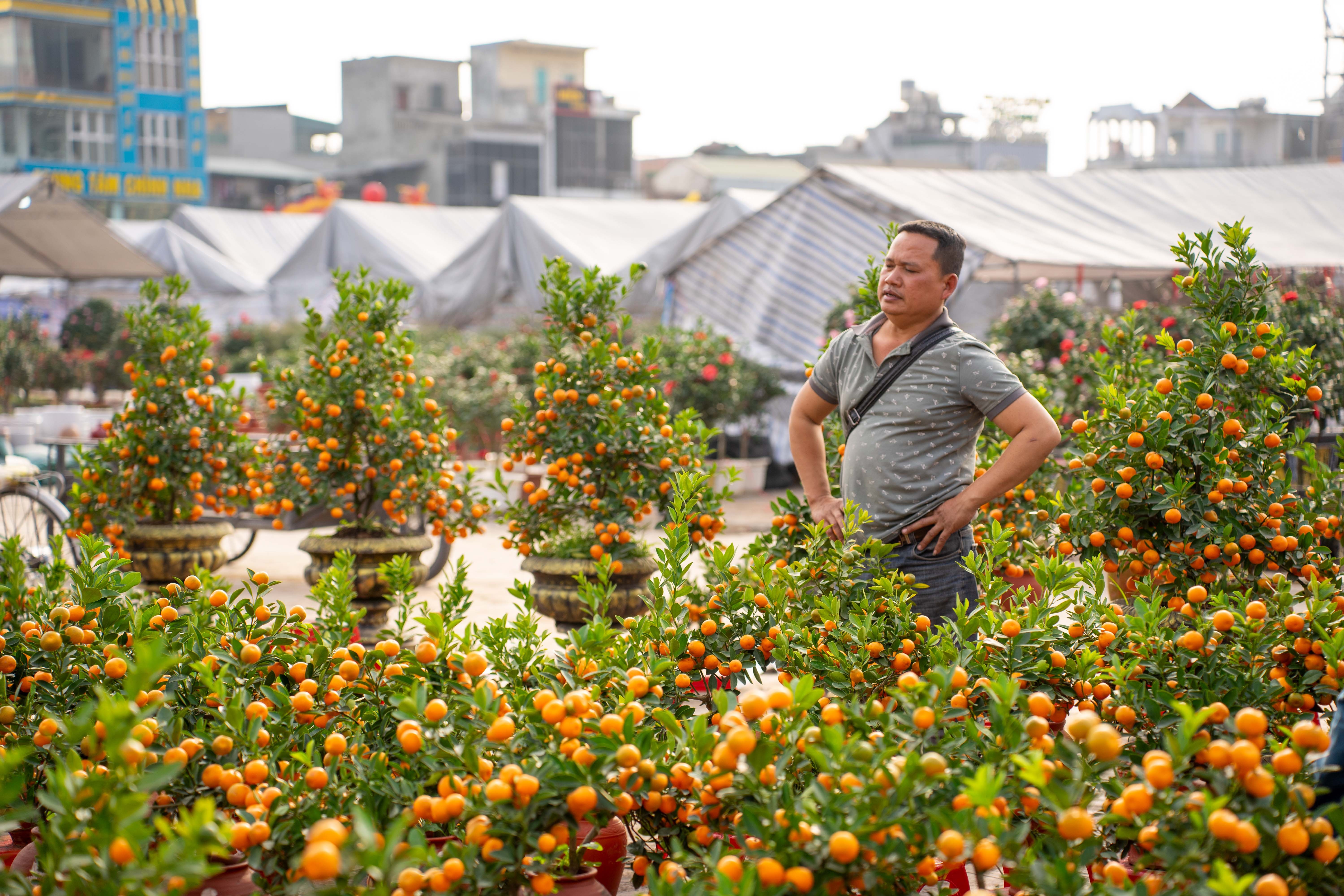 Những ngày cận tết